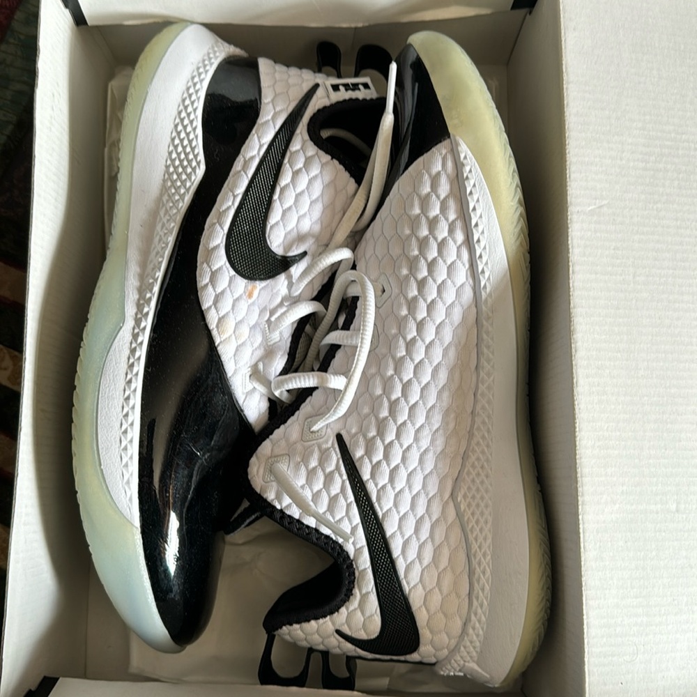 Lebron witness 3